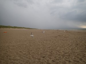 Keeten Beach, where the first battle of the Helder campaign took place