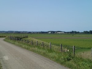 Road to Schoorl, looking towards sand dunes