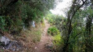 11390268_10101325764958560_6356821700362694301_n